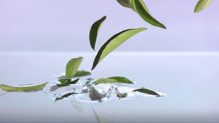 叶子落水(超级慢镜头)视频素材模板下载