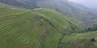 High-altitude aerial Rice paddy, Longsheng.Guilin,China