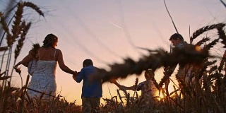 SLO MO一家人在日落时穿过麦田