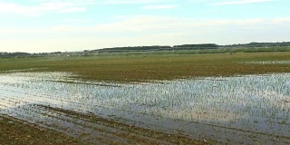 空中农民检查农田灌溉设备