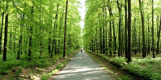 HD CRANE:男人在春天的森林里慢跑