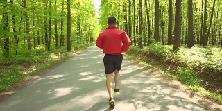 HD STEADY:慢跑穿过绿色森林