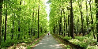 HD CRANE:在森林路上慢跑的人