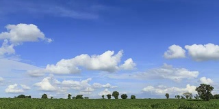 美丽的云朵和蓝天在木薯种植园和木薯田的时间流逝