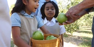 果农在苹果园实地考察中与不同的私立学校小学生交谈