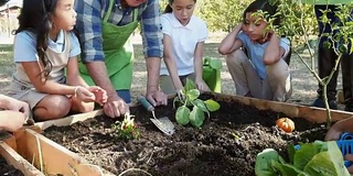 一个资深的白人园丁或农民回答私人小学生的问题在他们的实地旅行