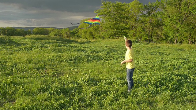男孩在公园里玩风筝