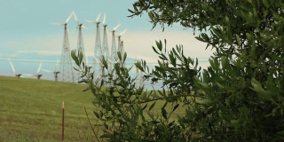风力涡轮机在农业用地上发电