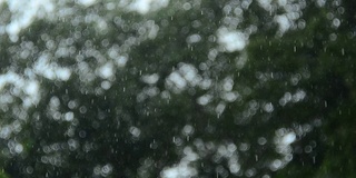 中雨滴散