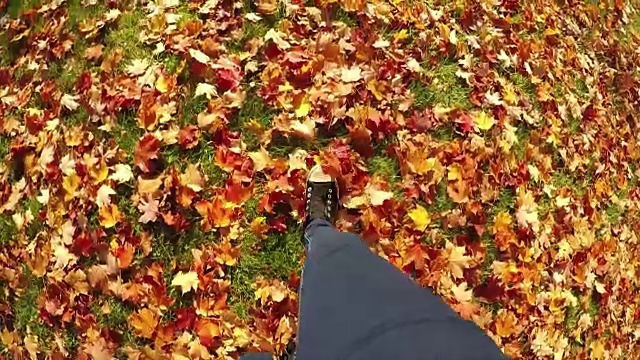 慢动作个人透视Walking In autumn leaves