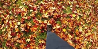 慢动作个人透视Walking In autumn leaves