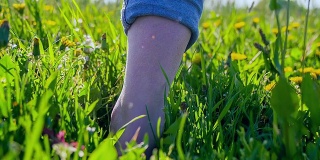 高清超级慢动作:赤脚在草地上行走