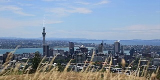 从新西兰奥克兰地区俯瞰奥克兰市