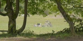 一对躺在草地上的情侣