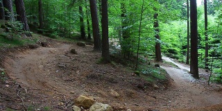 年轻的山地自行车手在森林里骑着山道下坡