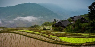 隆基梯田