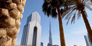 DS迪拜世界一流的建筑