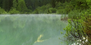 MS Lake In The Morning Mist