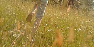 SLO MO TS男孩在阳光照耀的草地上奔跑