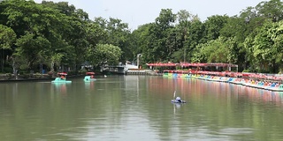 在小湖里骑车划船