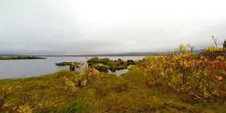 高清手持拍摄的美丽风景在冰岛西部