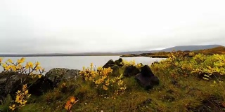 冰岛西部景观的高清手持拍摄
