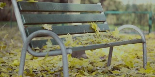 操场上的长凳，树叶飘落，秋天