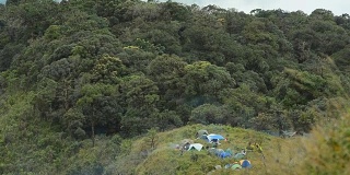 淘金:人们在较低的山上露营