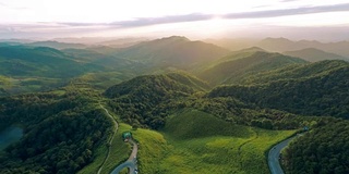 山上的墨西哥向日葵田