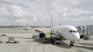 商用飞机的货物装载作业视频素材模板下载