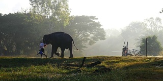 驯象人骑着大象在河里洗澡