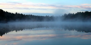 小池塘上的秋雾