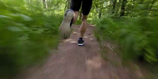 一个男性跑步者的腿穿过森林