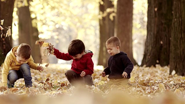 三个孩子在玩秋叶