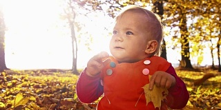 SLO MO宝贝女孩玩秋天的树叶