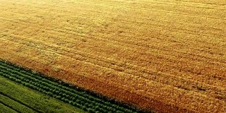 空中农业领域