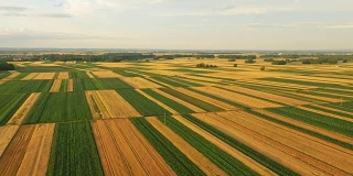 空中农业在斯洛文尼亚的农村