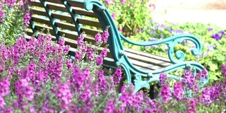 美丽的鲜花花园与古董长椅