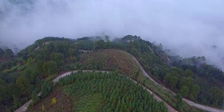 桂林山水甲天下