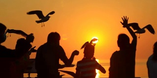 剪影:日落时分，人们在港口喂海鸥