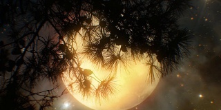 超级月亮和树(可循环)