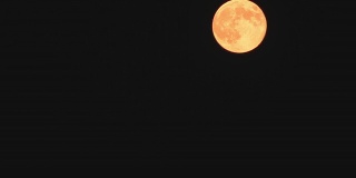 晚上的月亮升起