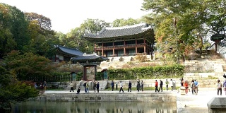 韩国昌德宫的秘密花园