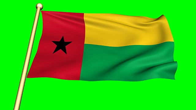 几内亚国旗-比萨动画
