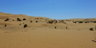 撒哈拉沙漠附近的东方大厄尔格，突尼斯