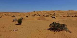 撒哈拉沙漠附近的东方大厄尔格，突尼斯