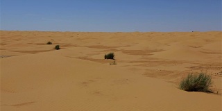 突尼斯的撒哈拉沙漠