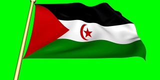 西撒哈拉旗动画