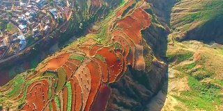 中国云南的高空水稻田