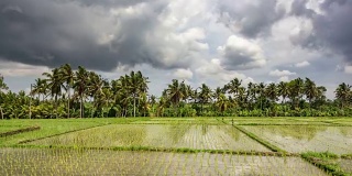 时间推移视频与美丽的强烈移动云反射到水稻农田的表面在热带巴厘岛，印尼在最高质量(4K/超高清高清)-库存视频